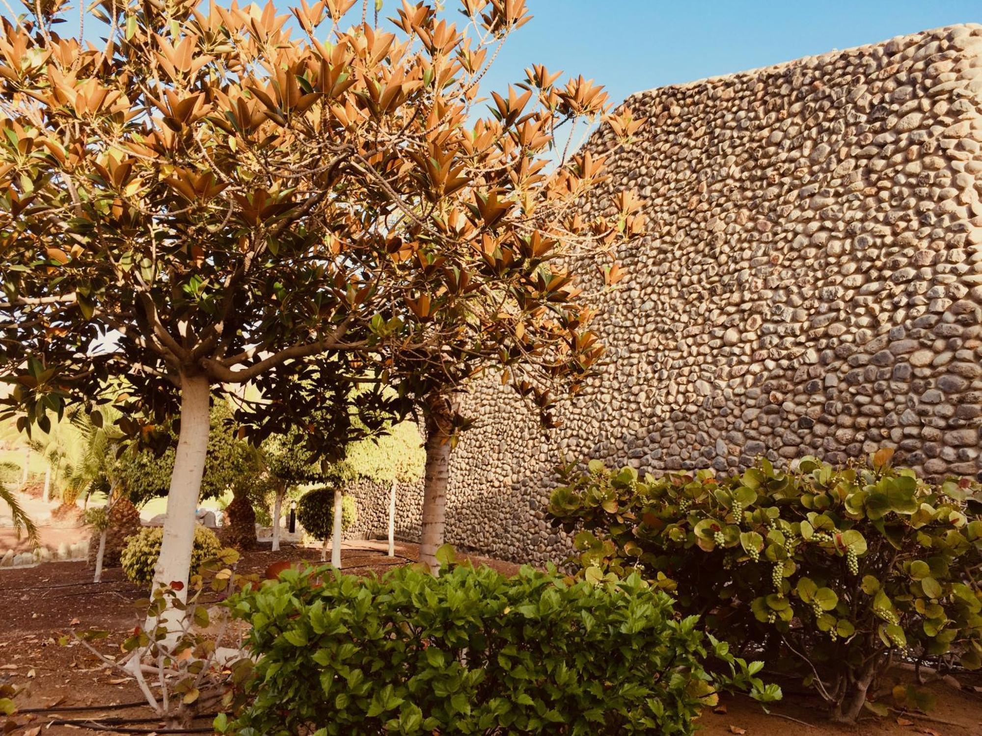 M&F Golf Views. Walk To Beach 拉普拉亚蒂陶洛 外观 照片